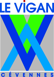logo-vigan