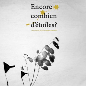 thumbnail of CIE AMARANTE – Encore combien d’étoiles – Spectacle jeunes et adultes